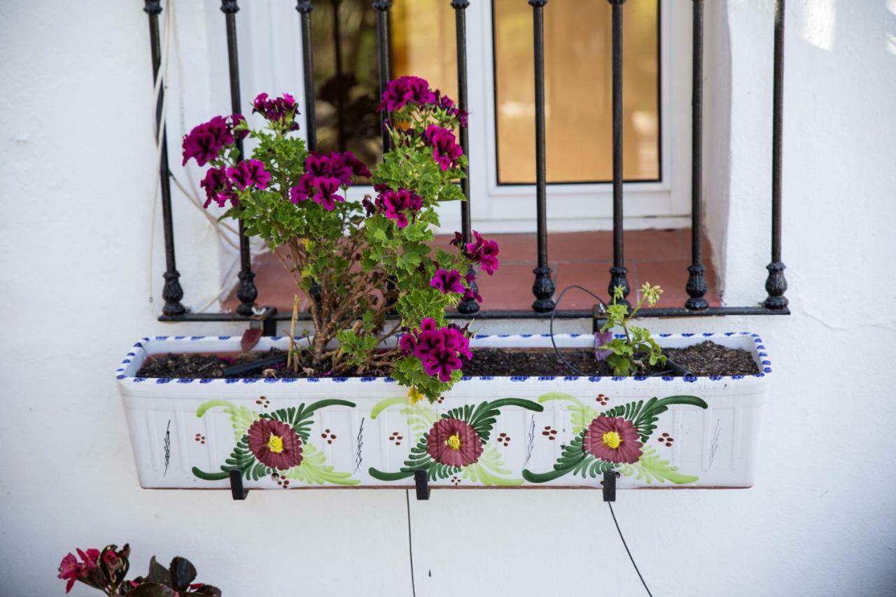 Fuego Blanco Bed & Breakfast Alora Exterior foto